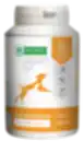 Complementary feed for adult dogs for immune system support