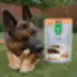 Dog snack rabbit ear with duck filling for adult all breed dogs