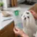 Complementary wet pet food with white fish and blueberries for white coat dogs