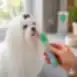 Complementary wet pet food with white fish and blueberries for white coat dogs
