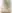 Wet pet food with game for joint protection of adult all breed dogs